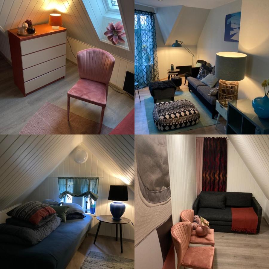 Downtown Historical House With Renovated Apartments 올레순 외부 사진